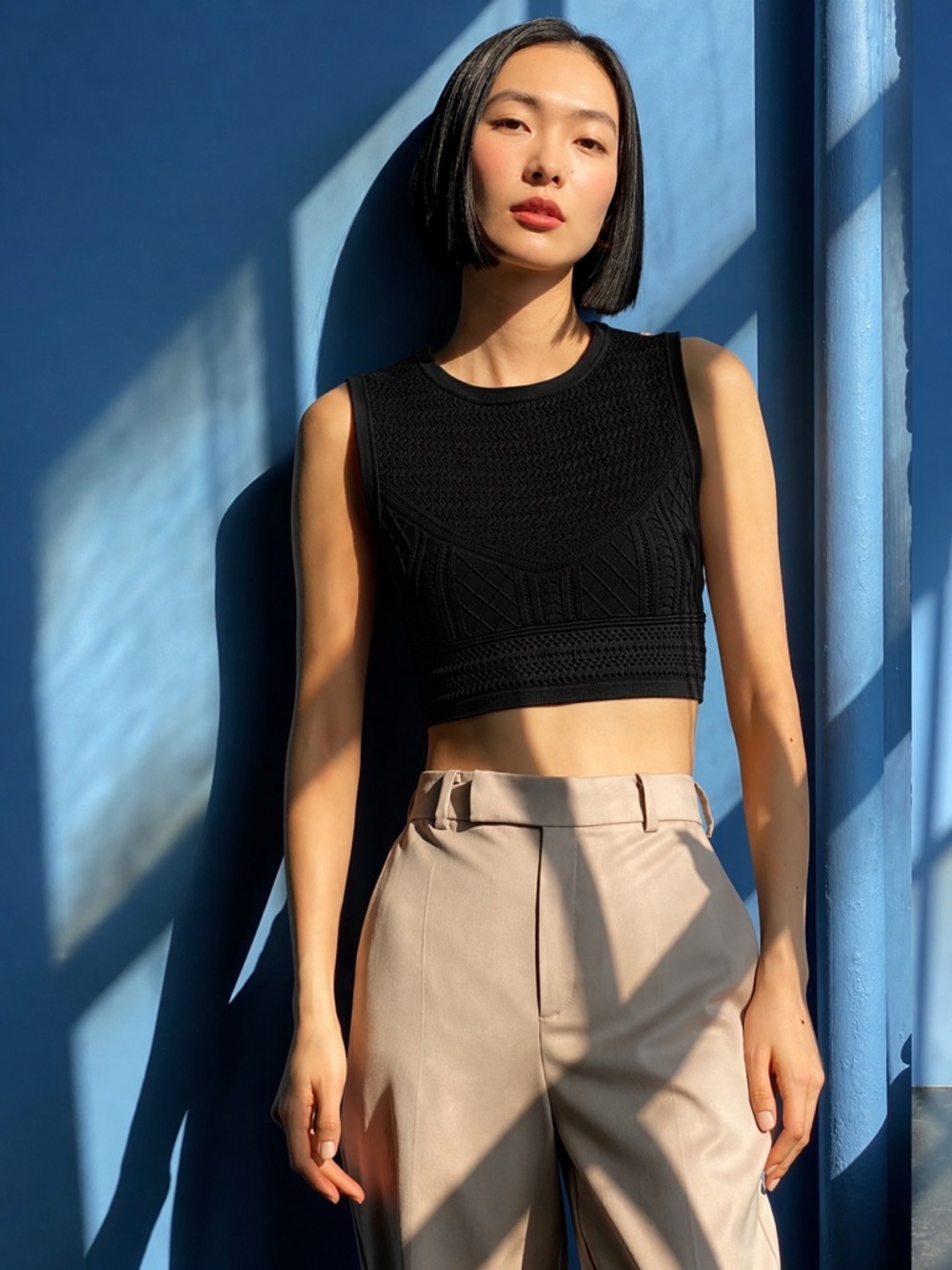 Aritzia Babaton‎ Pointelle Sweater Tank Black
Cropped Knit Top Sz S